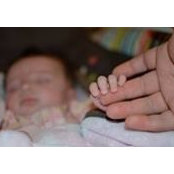 Adam Davis's photo