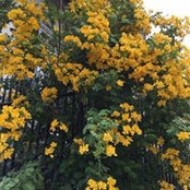 Eliza Morrison's photo