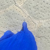 Angela Watson's photo