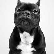 Carlito Savic's photo