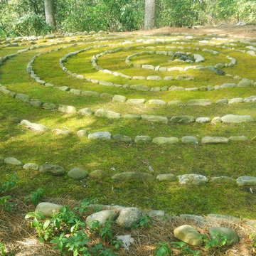 Moss Labyrinth  -- Cashiers