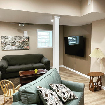 Basements alteration and renovation - Succasuna