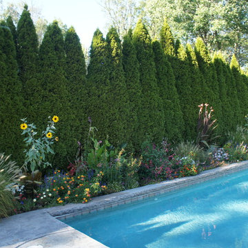 Garden Vistas