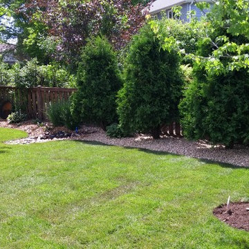 Naperville Patio, Landscape, regrade for drainage and sod
