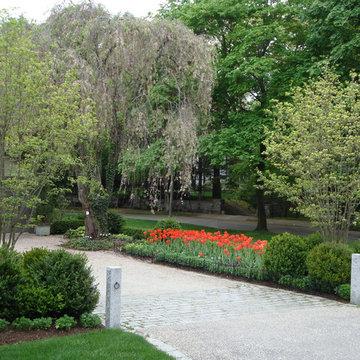 Spring Bulb Designs