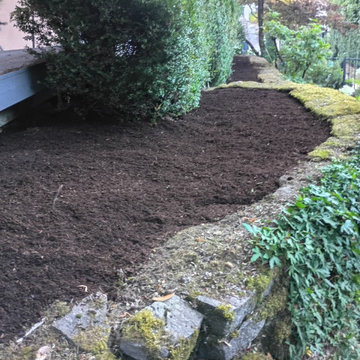 Outdoor Cleanup and Landscape Preparation