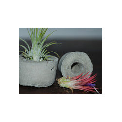 Handmade Concrete Planters - Outdoor Products