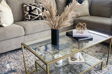Trendy living room photo in Boston