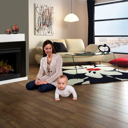 Dimplex Ebony Convertible Fireplace - Indoor Fireplaces