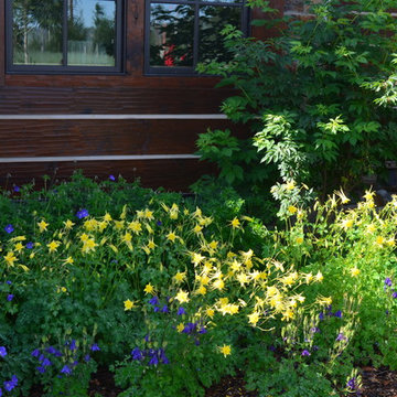 Design - Build Mountain Home Landscape in Silverthorne, CO