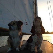 Foto von Nina Cg