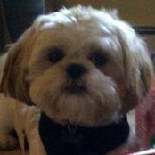 Winnie Schuchman's photo