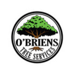 O’Briens Tree