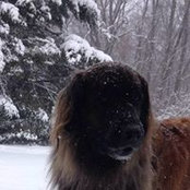 Barbara Bestrom's photo