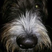 Jon Fava's photo