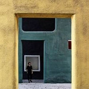 Federico Fraternale's photo