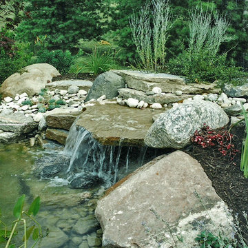 Ponds & Water features