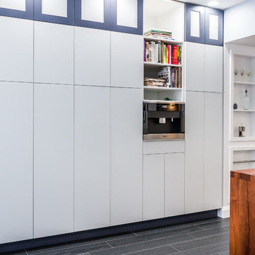 Lake Shore Drive Contemporary Gut Renovation