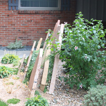 Oriental Spice Xeriscape in Lakewood