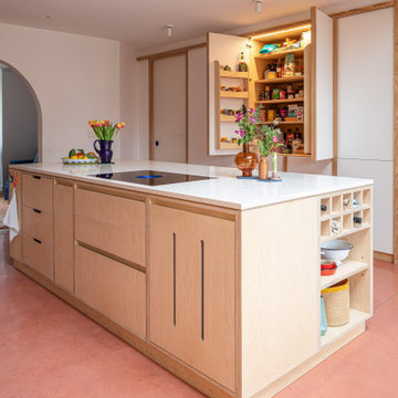 Bedminster Plywood Kitchen