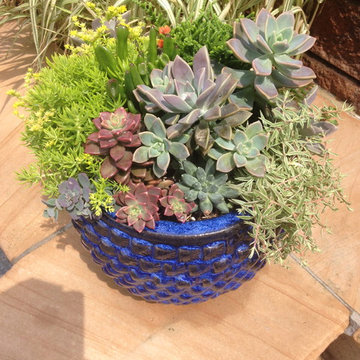 Container Gardens