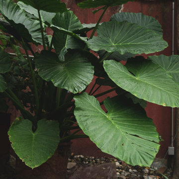 Le Jardin Florentin