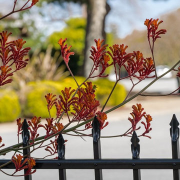Low-water Drycreek Garden