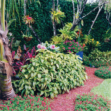 Container Garden in Boca Raton