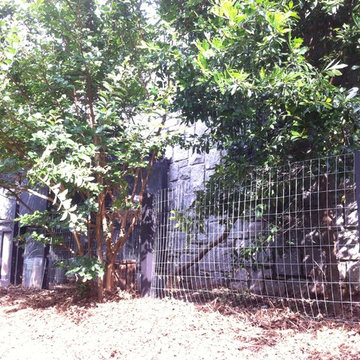 Urban Coop Tour Atlanta