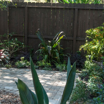 Made for the shade in Briar Forest