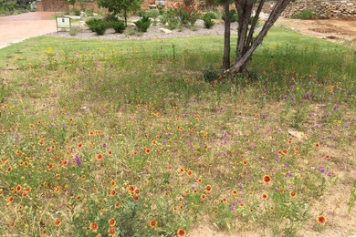 This is an example of a rustic landscaping in Other.