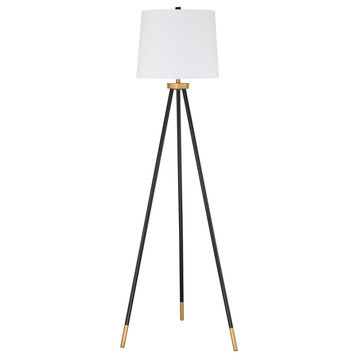 Floor Lamp 1-Light Floor Lamp, Painted Black / Painted Gold