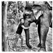 Lisa Becker's photo