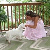 Heidi Martin's photo
