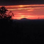 Melissa Beaman's photo