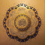 Maliha Khan's photo
