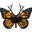 Monarch Paint Design