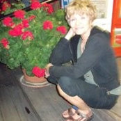 Sandra Cookさんの写真