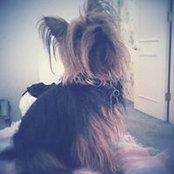 Foto von Kimberly Thompson