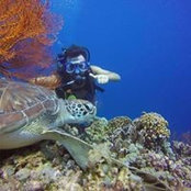 Benjamin De Caso's photo
