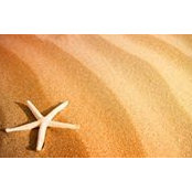 Ilem Ilem's photo
