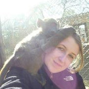 Foto von Sarah Borchelt
