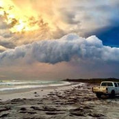 Megan Bell's photo