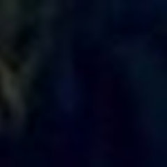 inga