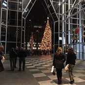 Wendy Mellinger's photo