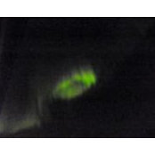 Jason Haugh's photo