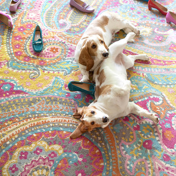 Dash & Albert Rugs