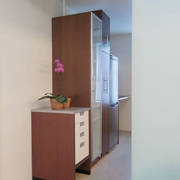 Chelsea Renovation