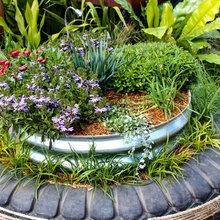 jardin