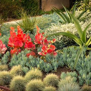 Beverly Grove,  Monet Landscape -Front Yard